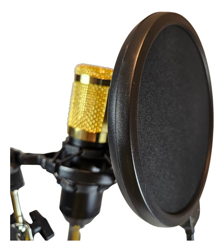 Kit Streaming Microfono Estudio Atril Filtro Bm800k Cipriani