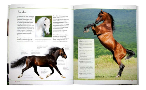 Libro Enciclopedia De Las Razas De Caballos