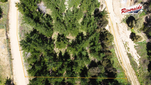 Parcela Con Gran Bosque, Ideal Para Refugio, Bucalemu