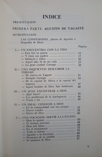 Caer Hacia Lo Alto: Agustin De Tagaste Y Su Orden - Vizcaino (Usado)
