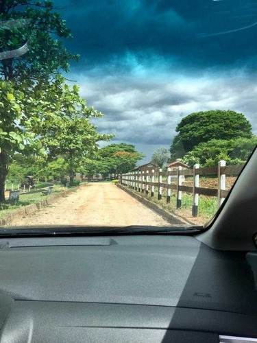 Ótimo Haras Com 41 Hectares Com 23 Baias 3.000,000,00 - 39282