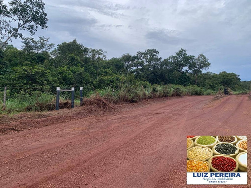 Imagem 7 de 15 de Fazenda À Venda Em Monte Santo - To - De 83 Alqueirões (dupla Aptidão) - 1623