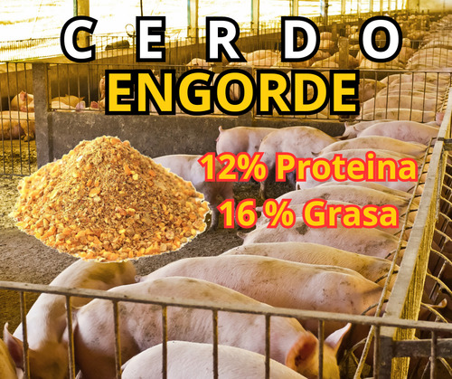 Comedero Cerdo Engorde Iniciador