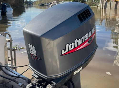 Femsa 620 Con Johnson 150hp V6