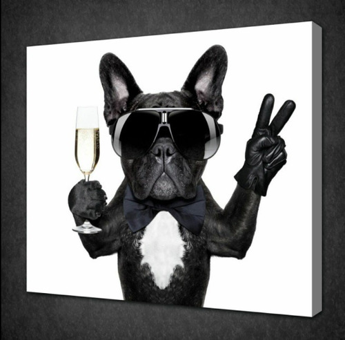 Cuadros Bull Dog Frances Personalizados 40x60