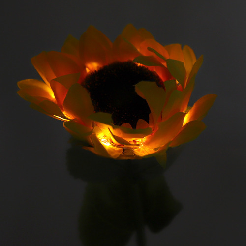 Luces Solares Con Forma De Girasol, 2 Unidades, Ip65, Imperm