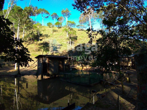Chácara À Venda Em Guabiruba/sc - 1518c