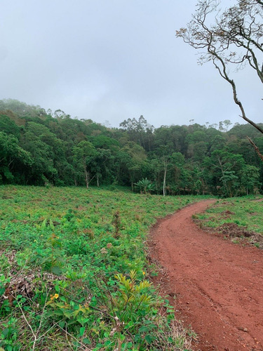 Imagem 10 de 14 de A26 Terreno Com Otima Negociação