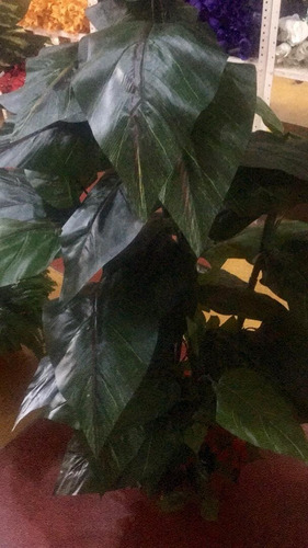 Imagen 4 de 7 de Plantas Matas Decorativas Artificiales