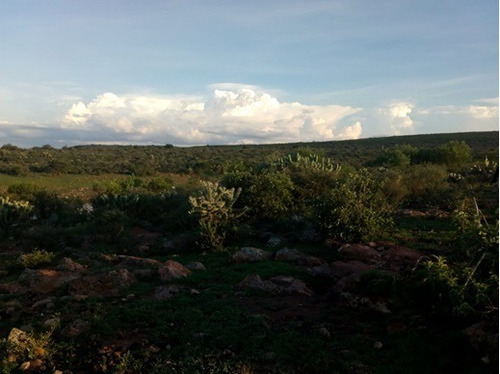 Imagen 4 de 7 de Terreno Colón Querétaro Sup. 1,100 Hectáreas