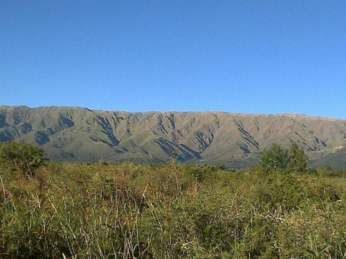 Imagen 1 de 4 de Lote En Venta De 5000m2 Ubicado En Cerro De Oro