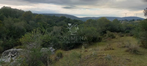Campo En Carape Son 42 Hs 2293 M2