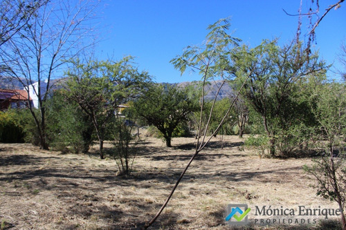 Lote De 1500m2 En Cerro De Oro, Sobre Calle Cuesta De La Granadilla