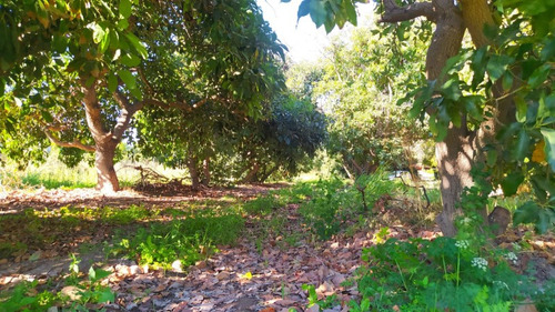 Venta Parcela Camino La Estancillla - Viluco - Buin