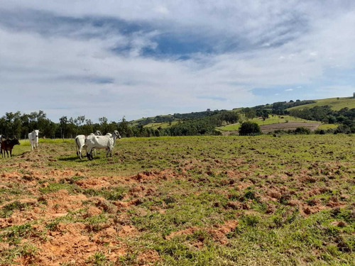 Imagem 2 de 14 de Lotes Para Chácara A Venda Próxima A Sorocaba