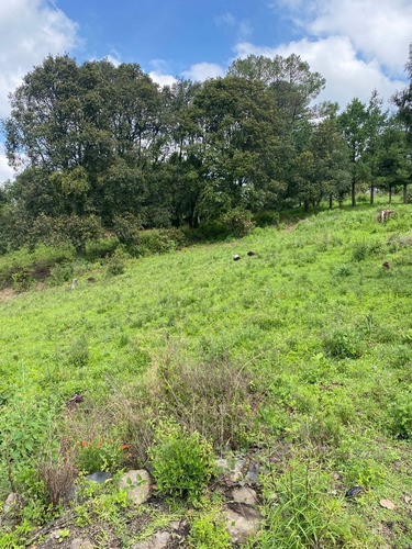 Imagen 2 de 11 de Gran Terreno En Paraje Palacio, Huitzilac, Morelos.