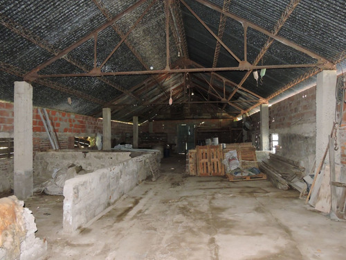 Imagen 16 de 17 de 3,6 Ha Casa Quinta En Veronica Con Galpon Y Local Comercial