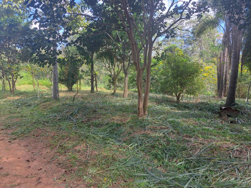 Vanserv Limpeza De Quintal E Lavagem De Caixa Dágua