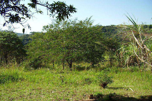 Imagem 1 de 6 de Terreno, Jardim Parnaíba, Santana De Parnaíba - R$ 16.1 Mi, Cod: 67500 - V67500