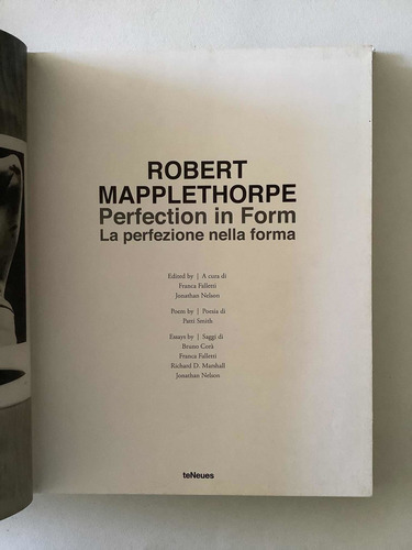 Mapplethorpe - Perfection In Form (Usado)