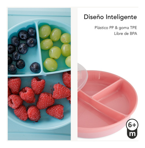 Plato Dividido 6+m Twistshake Gris Pastel