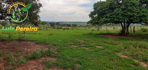 Imagem 5 de 10 de Fazenda Á Venda Em Figueirão - 844 Hec (pecuária) - 1917