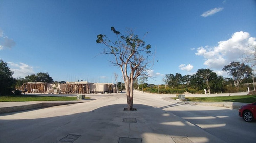 Imagen 4 de 8 de En Venta Lotes Residenciales En Villareal, Mérida