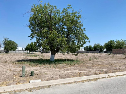 Imagen 2 de 4 de Terreno En Venta Fracc. Real Del Nogalar