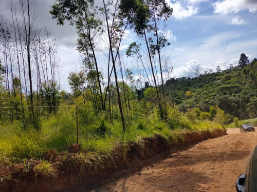 Imagem 7 de 11 de Lotes E Sítios Próximo A Represa Cd. Phg