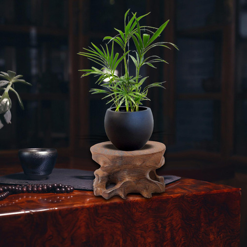 Base De Exibição De Pedra De Madeira Para Decoração De