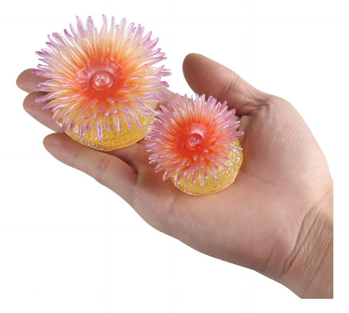 2 Sea Life Sea Anemone Party Favor Tank Amarillo
