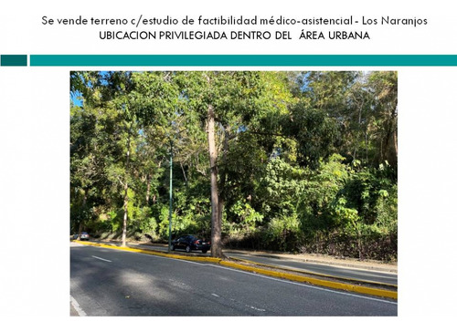 Se Vende Terreno Uso Asistencial 10.529m2 Los Naranjos 2203