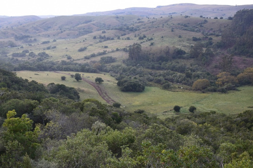 Chacras Sierras De Minas Sobre Ruta 60
