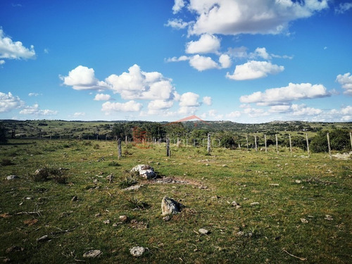 Campo Ganadero En Venta En Maldonado, A 60 Km De Punta Del Este- Ref: 26296