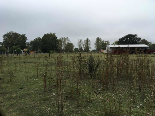 Venta Lote De Quinta Tapalque