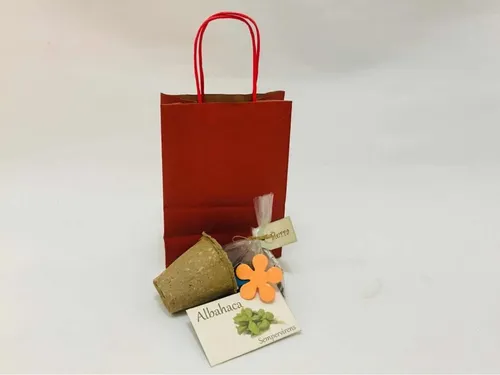 Mini Kit Huerta Para Niños