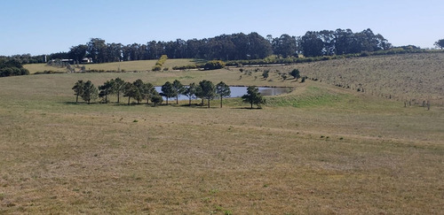 Imagen 13 de 30 de Chacra En Venta, Fraccion De 20 Has En Jose Ignacio (ref: Atm-6766)