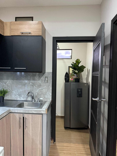 Apartamento En Alquiler Nuevo 1 Habitación Desamparados