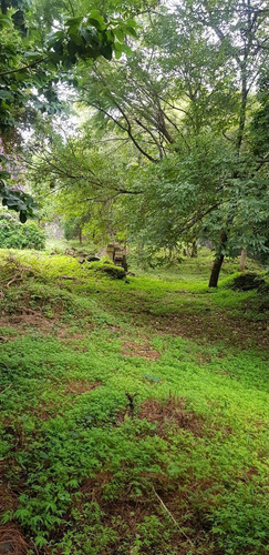 Divino Terreno En Fracc. Limoneros, Cuernavaca