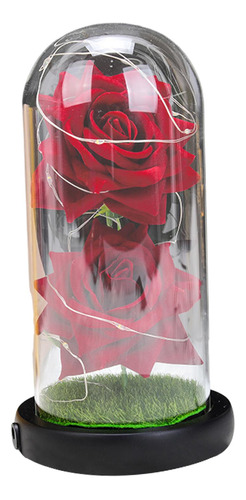 La Bella Y La Bestia, Rosa Roja En Cúpula De Cristal Sobre