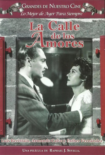 La Calle De Los Amores / Dvd /armando Calvo,esther Fernande 