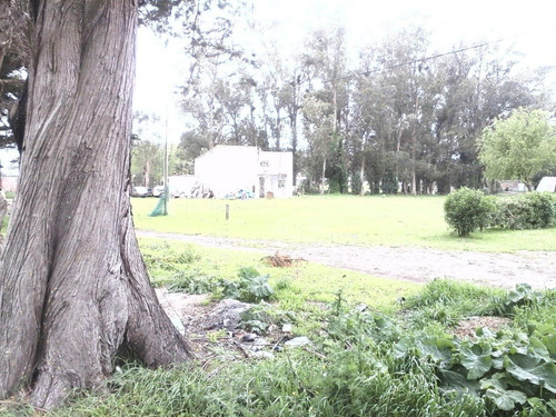 Imagen 8 de 8 de Terreno En Venta Lote 920 M², Zona Parque Peña