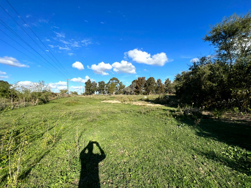 Imagen 3 de 17 de Atencion Inversor Amplia Parcela En Venta Sobre Ruta 20 Proxima A Las Lagunas De Chascomus Y Vitel