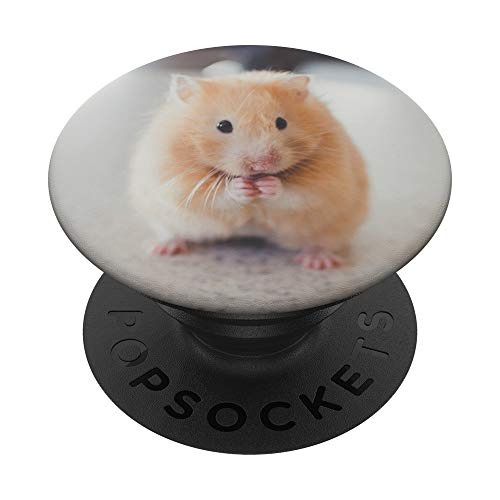 Hamster Popsockets Popgrip: Grip Para Teléfonos Y 8ynzq