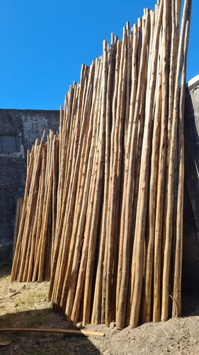 Imagen 2 de 8 de Poste Palo Euca Largo 4 Mts Ø 6-9 Eucalipto Tirantes Pérgola