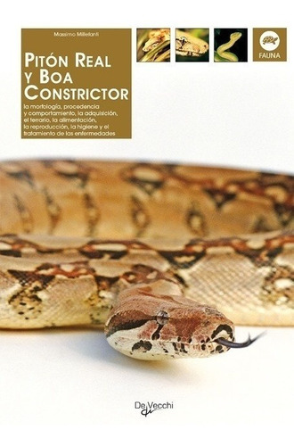 Piton Real Y Boa Constrictor - Massimo Millefanti