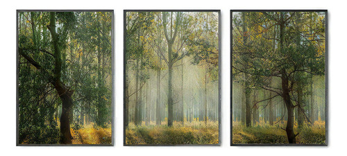 Quadro Decorativo Floresta Arvores Paisagem Sala Com Moldura Cor Kit169 Cor Da Armação Preto