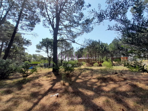 Imagen 6 de 16 de Venta De Lote En Barra Verde, La Barra, Uruguay - La Barra Barra Verde