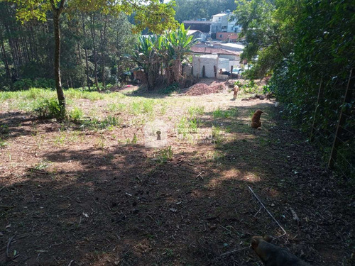 Imagem 4 de 9 de Terreno, Água Espraiada (caucaia Do Alto), Cotia - R$ 1 Mi, Cod: 4205 - V4205