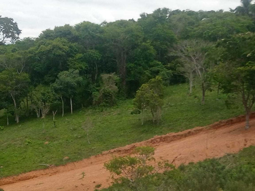 Imagem 6 de 8 de #v# J11- Seu Lote Com Vista Pro Lago